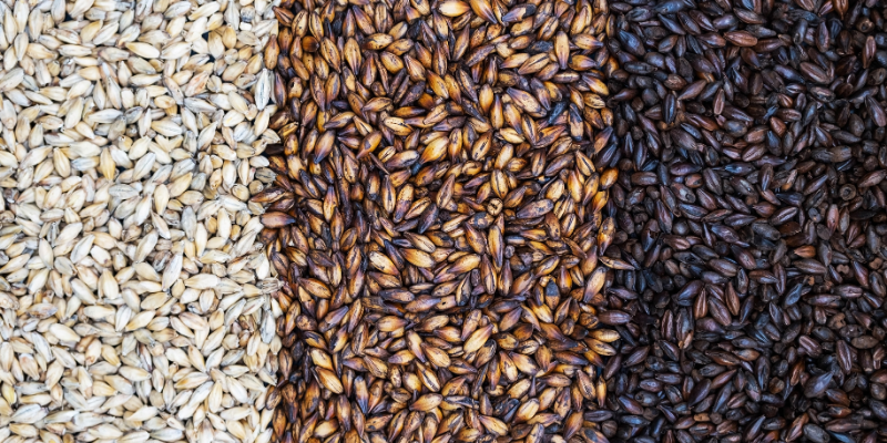 A flat-lay photograph showing three distinct columns of malted grains: light pale ale malt, golden caramel malt, and dark black malt.