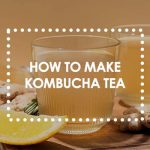 how do you make kombucha tea beginners guide