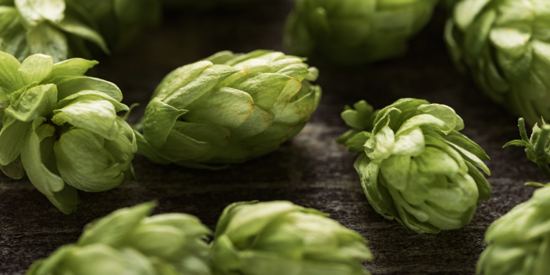 Several fresh, vibrant green hop cones scattered across a dark, rustic wooden surface.