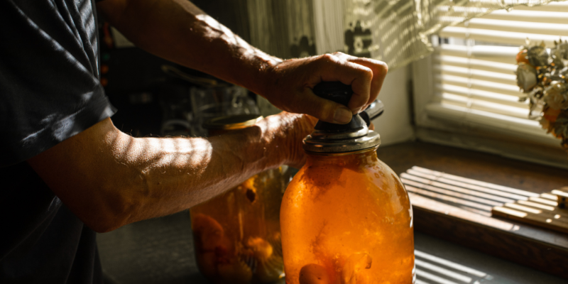 Brewing a large batch in a glass jar allows the flavors of ginger, sugar, and water to meld before bottling.